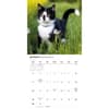 image Tuxedo Cats 2026 Wall Calendar Third Alternate Image