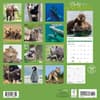 image Baby Animals 2025 Wall Calendar First Alternate Image width=&quot;1000&quot; height=&quot;1000&quot;