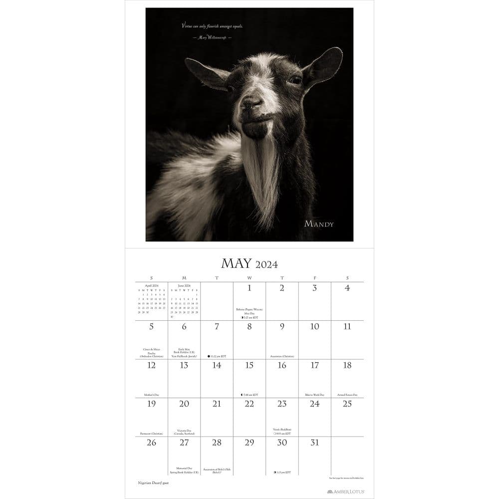 I Am Goat 2024 Wall Calendar