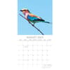 image Exotic Birds 2025 Wall Calendar Third Alternate Image width=&quot;1000&quot; height=&quot;1000&quot;