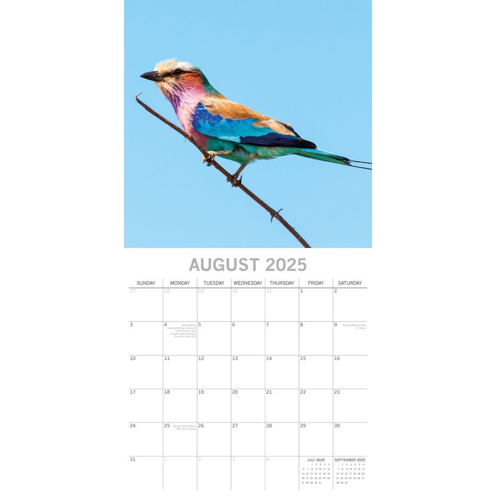 Exotic Birds 2025 Wall Calendar Third Alternate Image width=&quot;1000&quot; height=&quot;1000&quot;