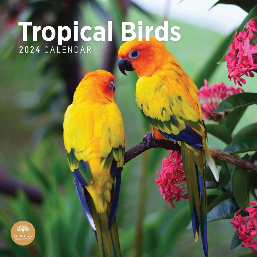 Tropical Birds 2024 Wall Calendar