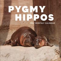 image Pygmy Hippos 2027 Wall Calendar Main Product Image