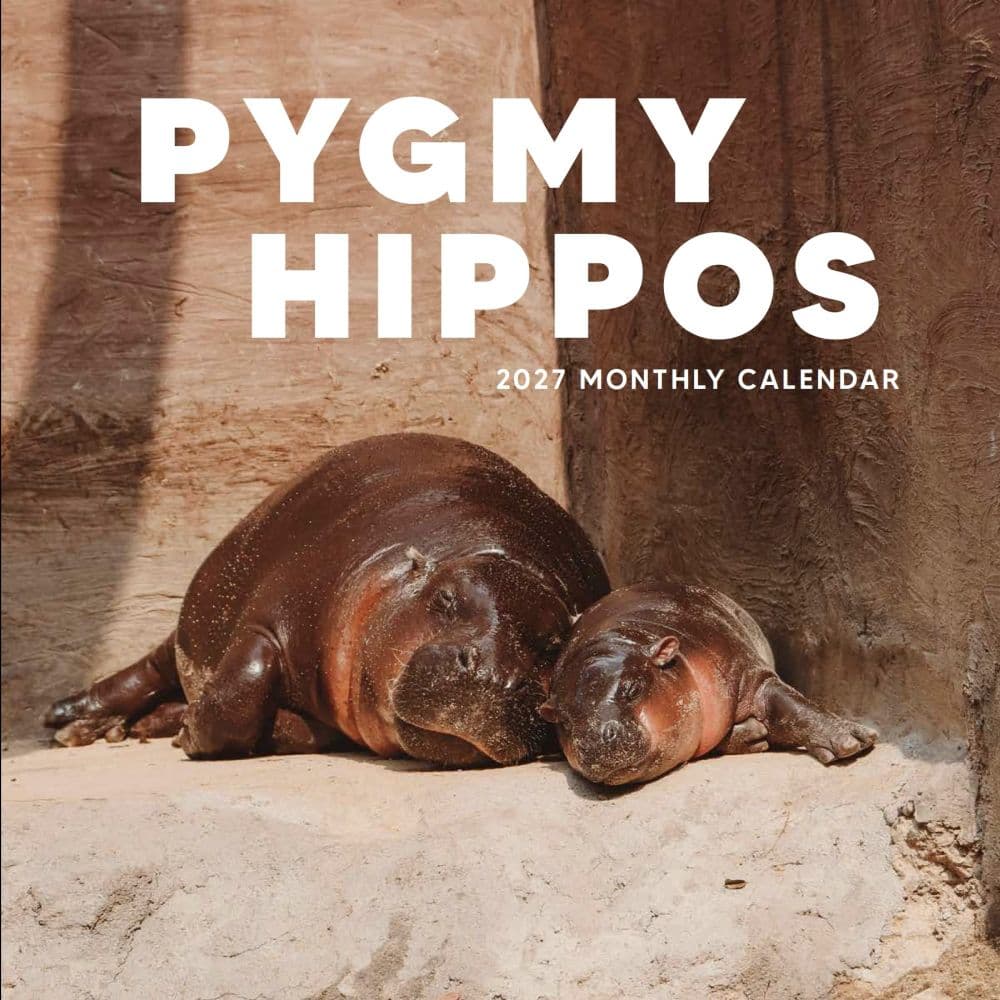 image Pygmy Hippos 2027 Wall Calendar Main Product Image
