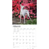 image Italian Greyhounds 2024 Wall Calendar Second Alternate Image width=&quot;1000&quot; height=&quot;1000&quot;