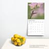 image Hummingbirds Plato 2025 Wall Calendar