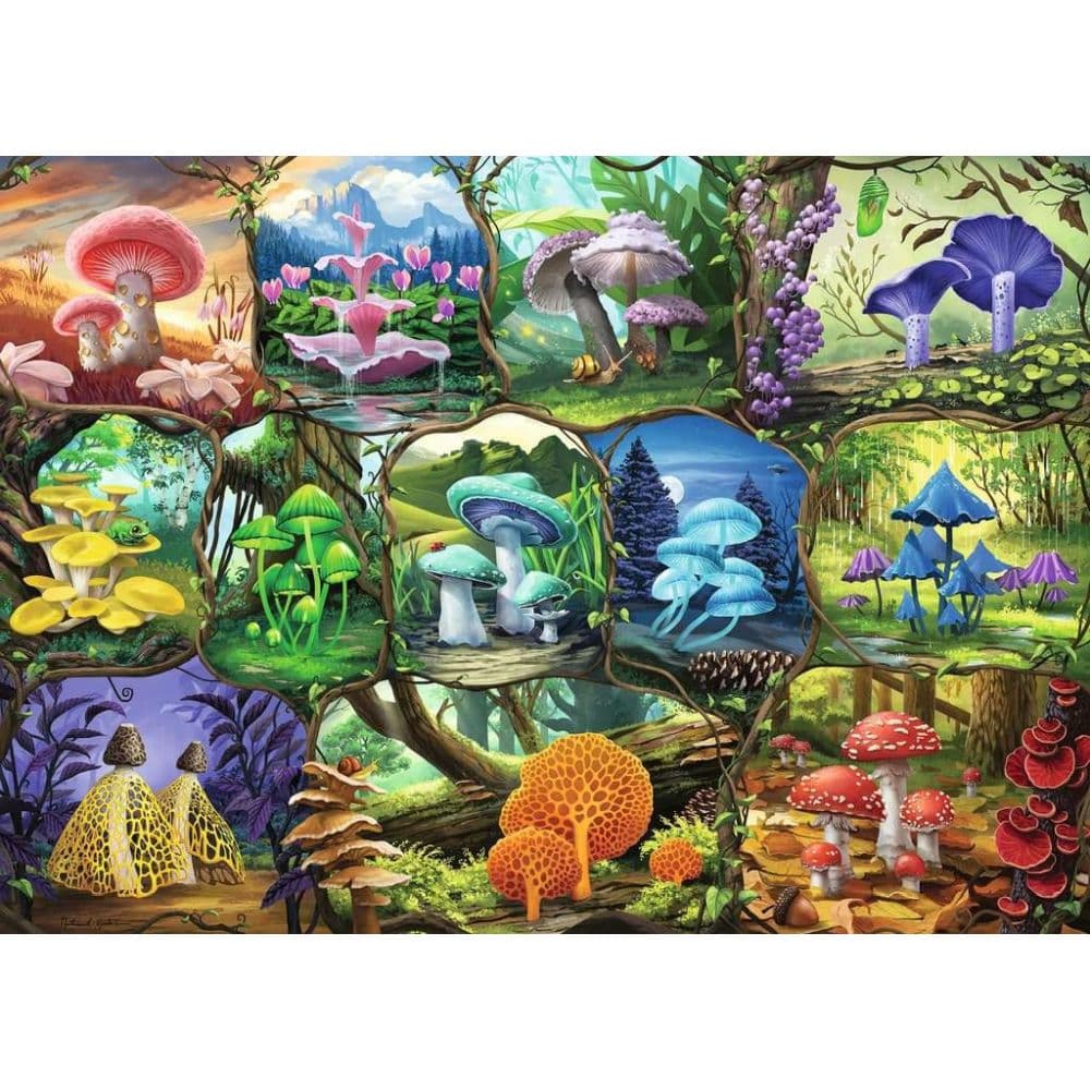 Beautiful Mushrooms 1000 Piece Puzzle First Alternate Image width=&quot;1000&quot; height=&quot;1000&quot;