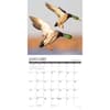 image Waterfowl 2025 Wall Calendar