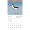 image Audubon Little Shorebirds 2024 Mini Wall Calendar Alternate Image 2