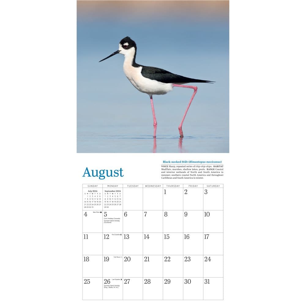 Audubon Little Shorebirds 2024 Mini Wall Calendar Alternate Image 2