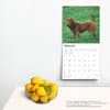 image Shar-Pei 2025 Wall Calendar Fourth Alternate Image