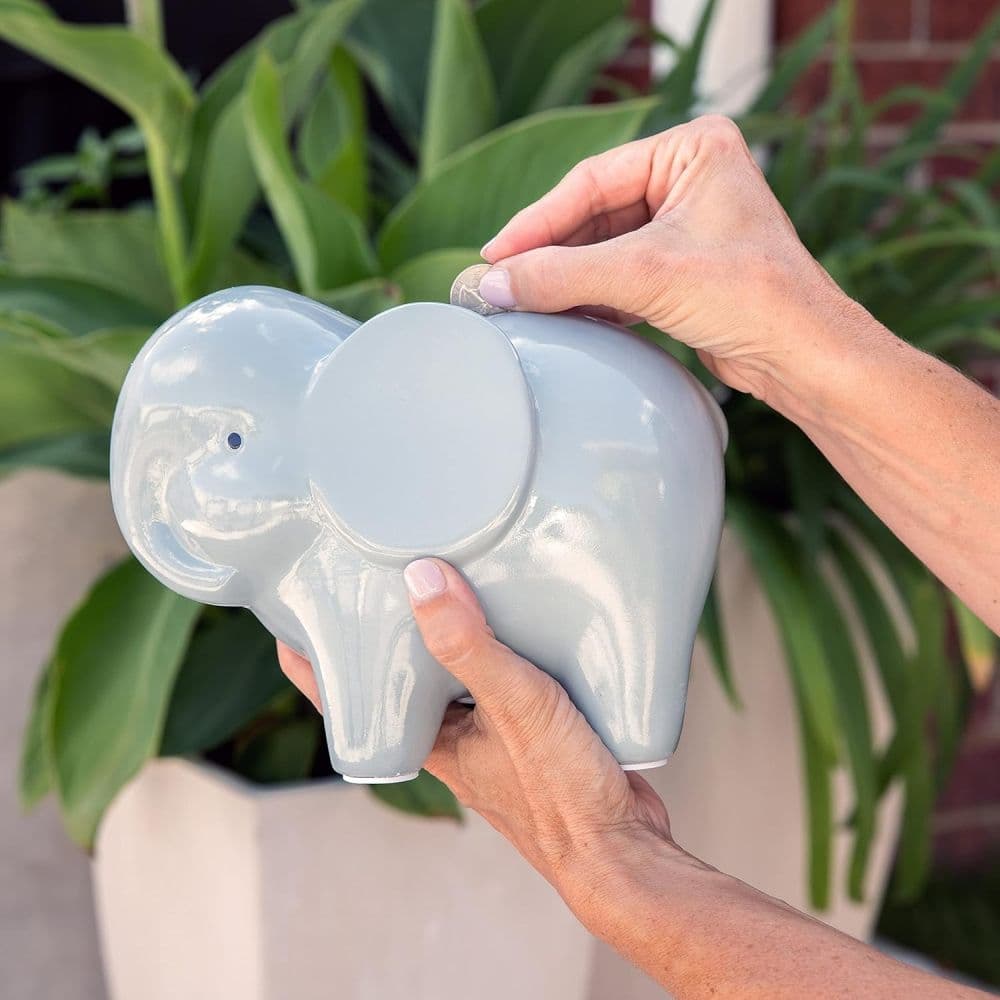 Elephant Bank Seventh Alternate Image