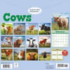 image Just Cows 2026 Wall Calendar First Alternate Image