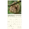 image Sloth Life 2025 Wall Calendar Fourth Alternate Image width="1000" height="1000"