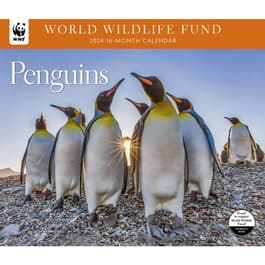 Penguins 2024 Wall Calendar