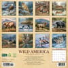 image Wild America 2025 Wall Calendar