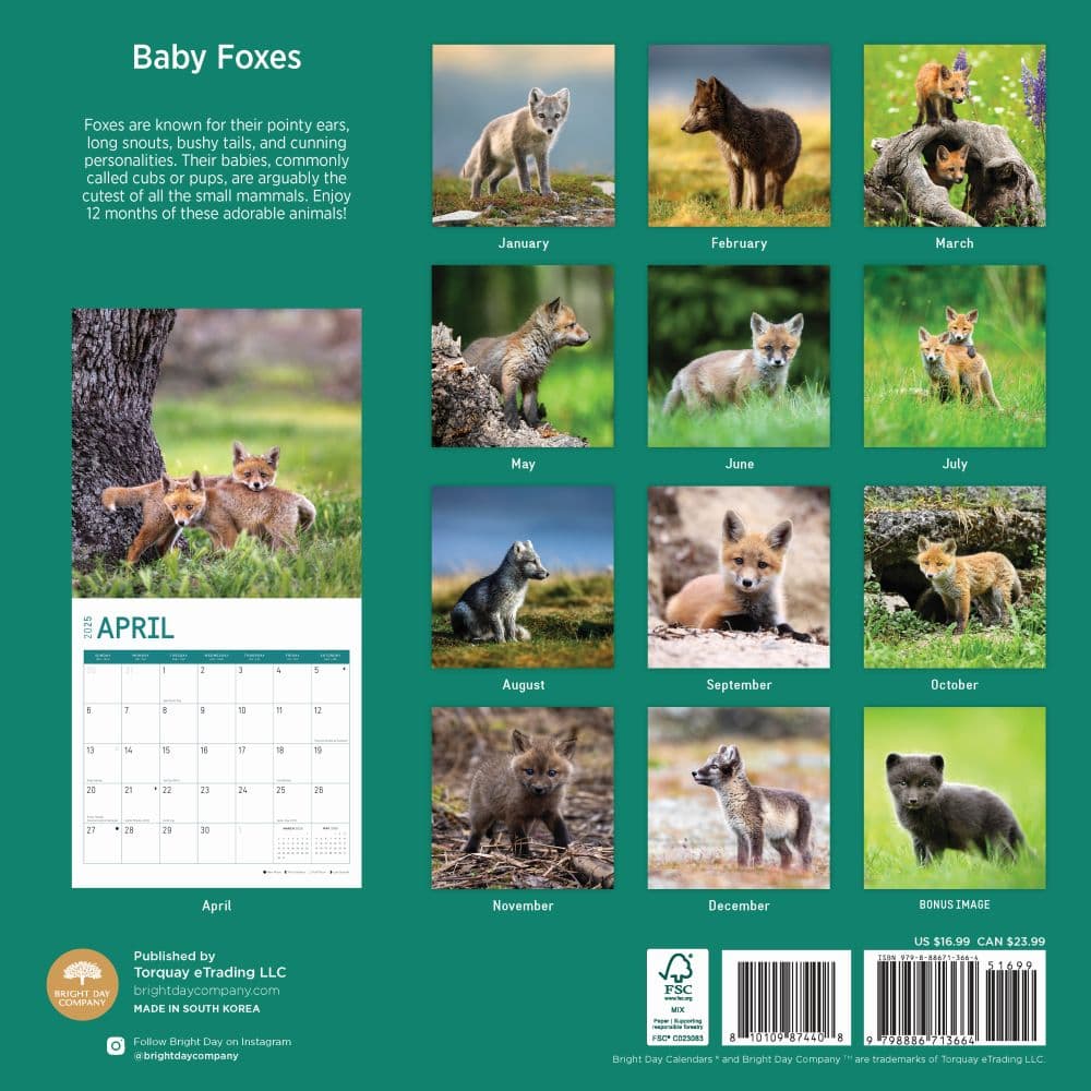 Baby Foxes 2025 Wall Calendar First Alternate Image width="1000" height="1000"