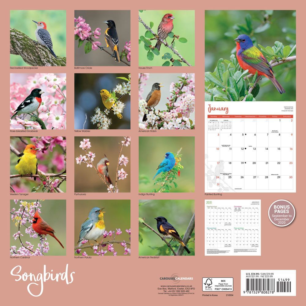 High Quality Paper and Full Carousel Calendars 2020 Songbirds Wall Calendar 