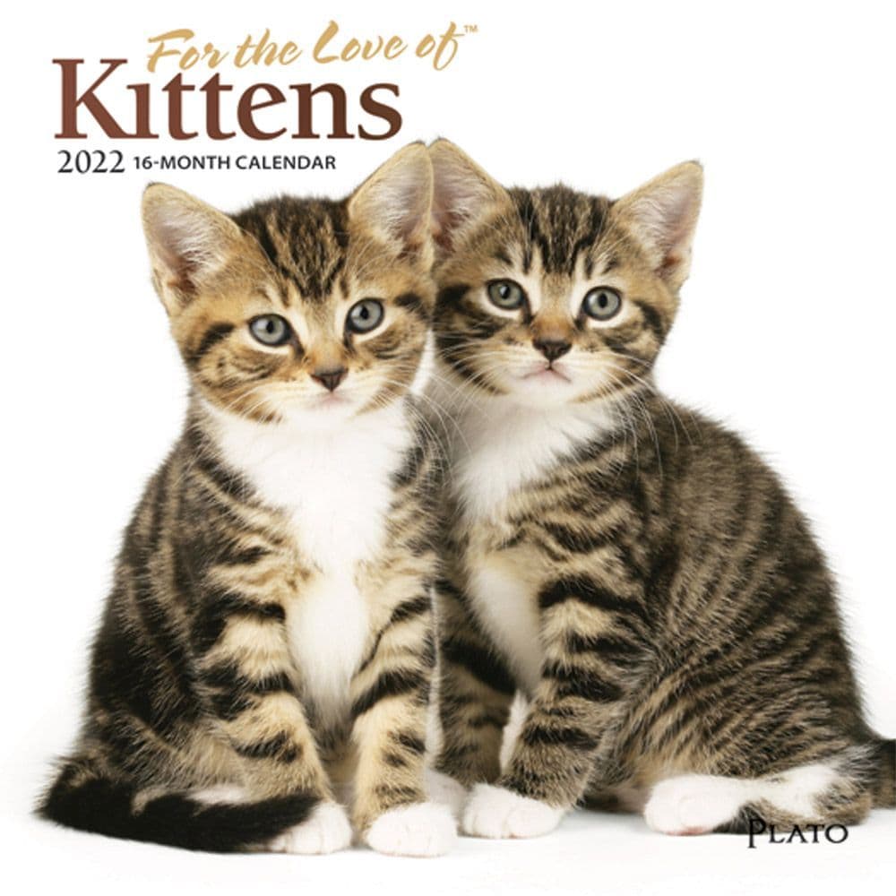 For the Love of Kittens 2022 Wall Calendar