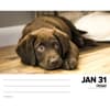 image Just Labs 2025 Desk Calendar