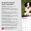 image Border Collie Puppies 2024 Wall Calendar Fourth Alternate Image width=&quot;1000&quot; height=&quot;1000&quot;