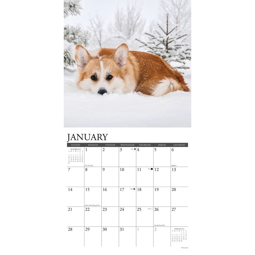 Just 2025 Wall Calendar