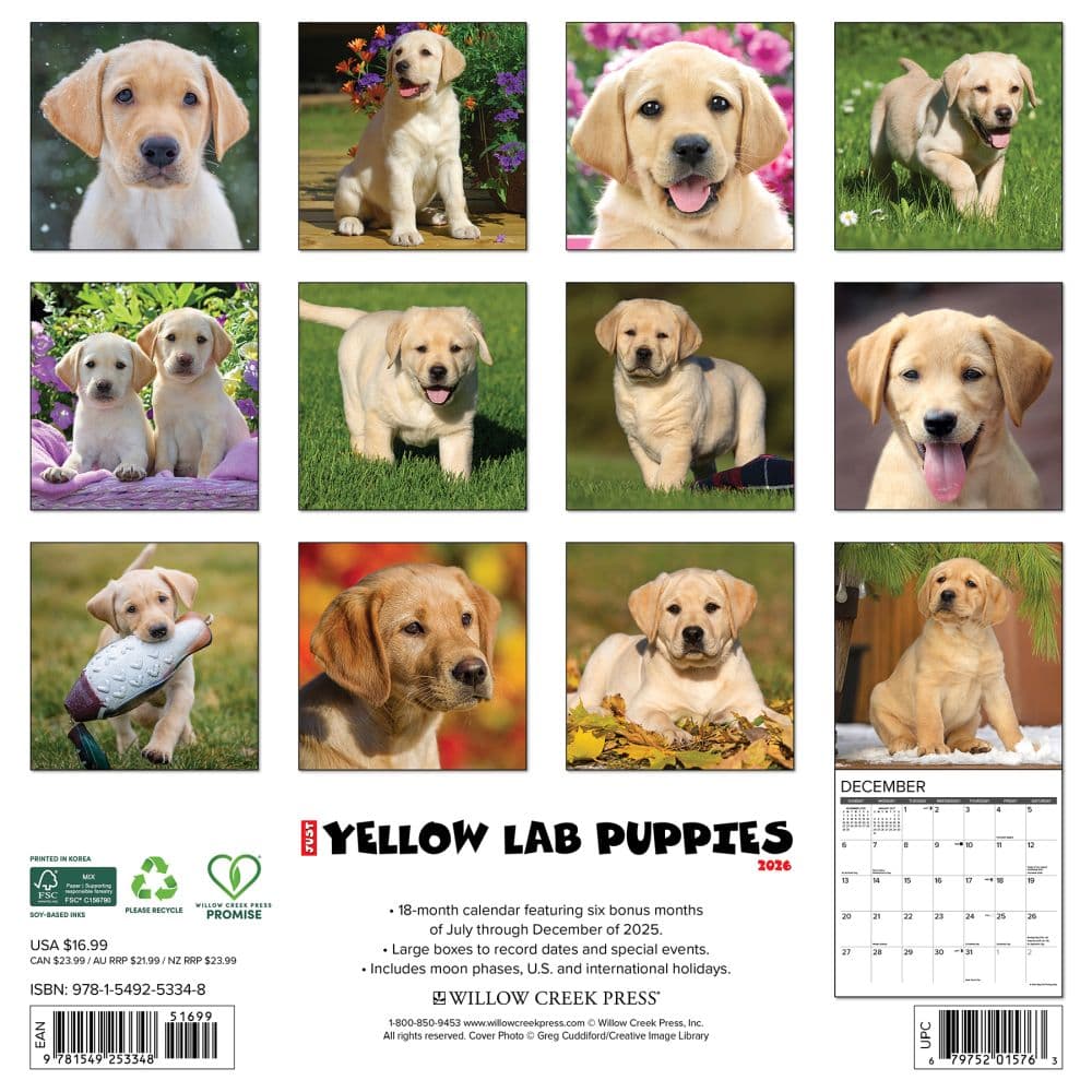 Just Yellow Lab Puppies 2026 Wall Calendar First Alternate Image
