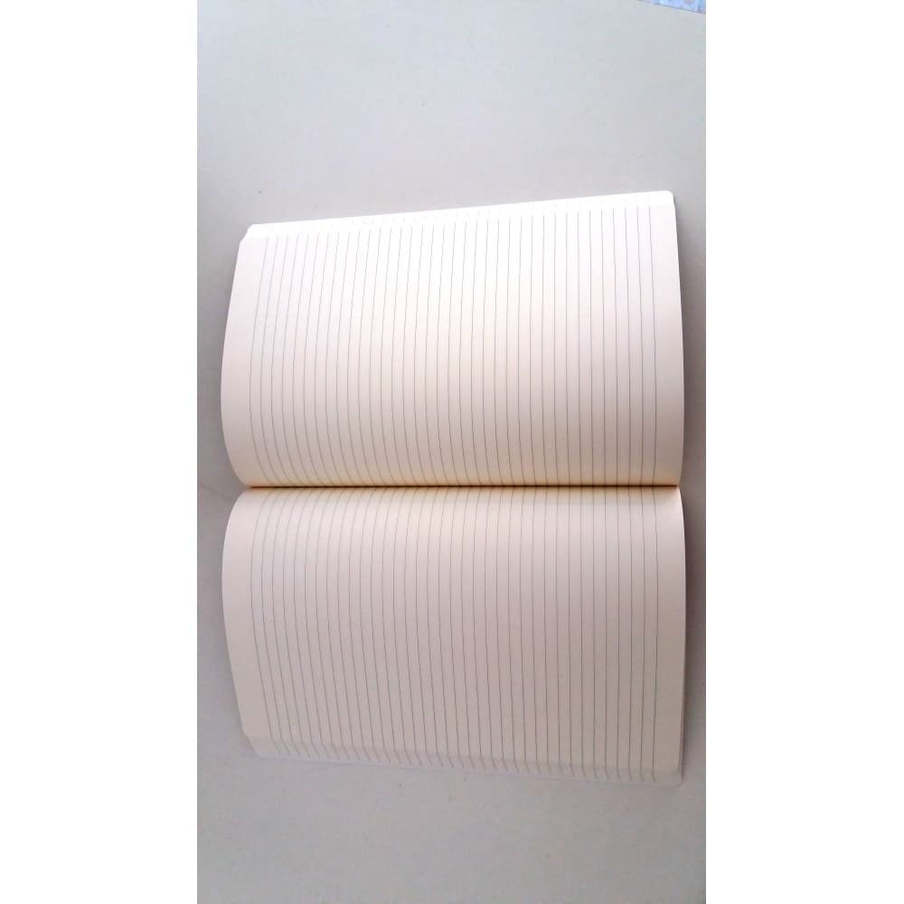 New York Map Journal Alternate Image 1