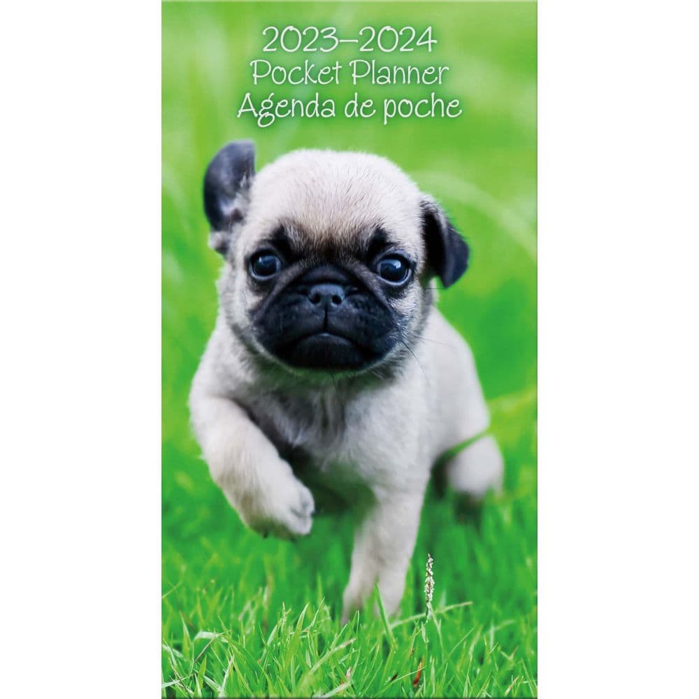 Trends International Puppies Bilingual Pkt 2023 Planner (Fr)