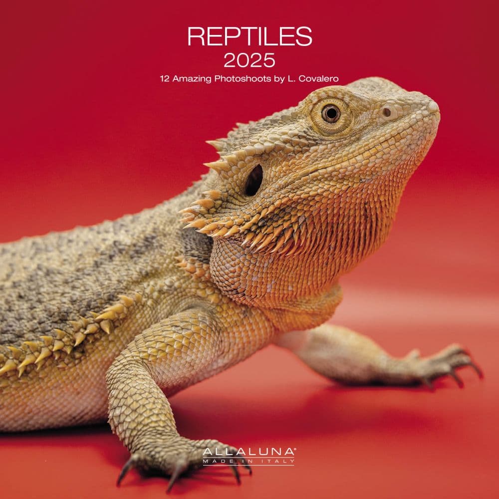 Reptiles 2025 Wall Calendar