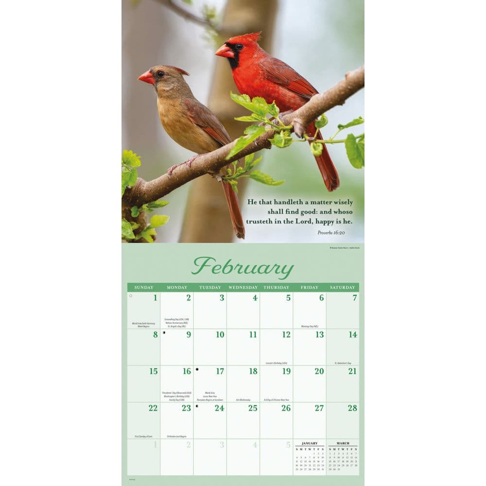 Blessings Special Value 2026 Wall Calendar Second Alternate Image