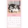 image Dog Naps 2026 Wall Calendar Third Alternate Image