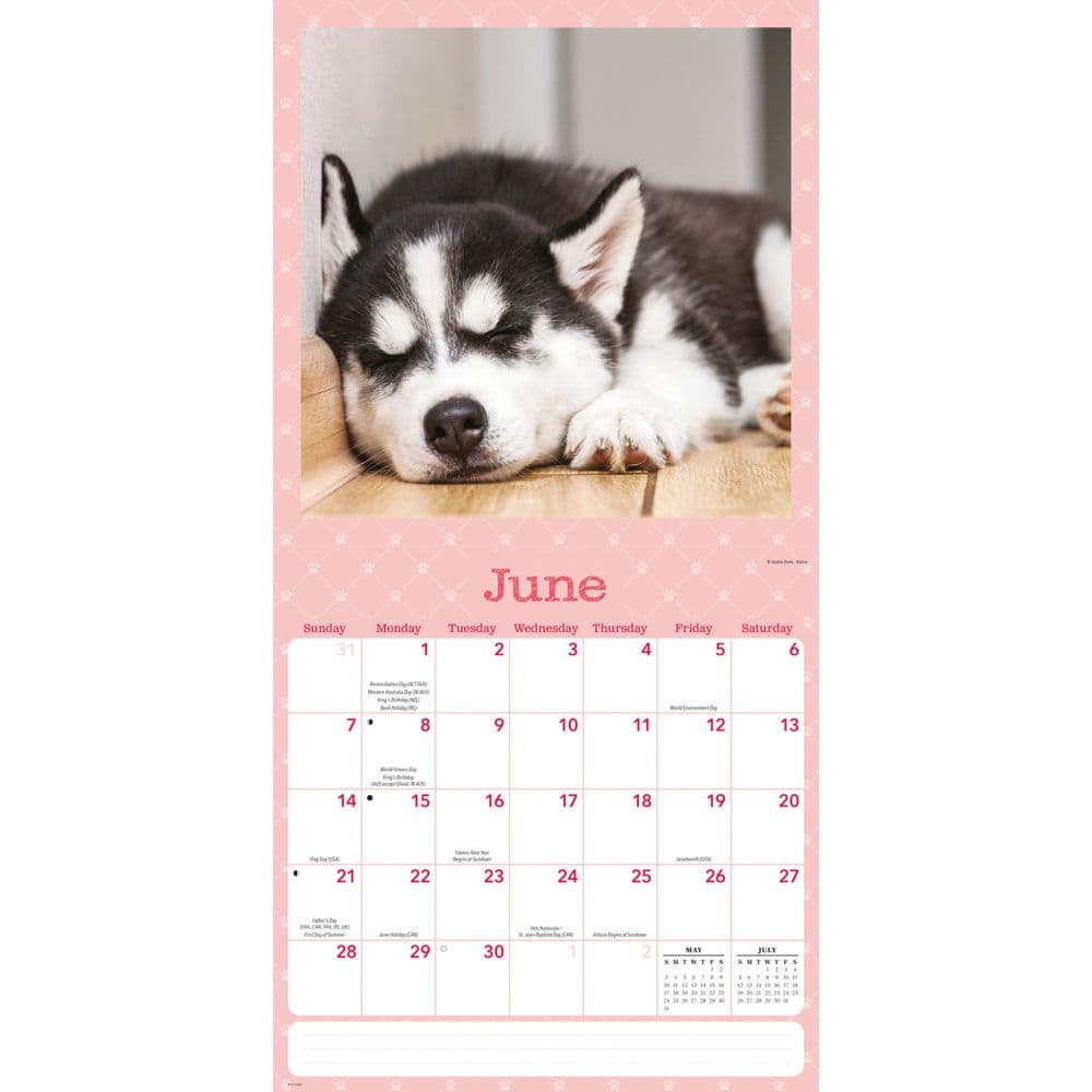Dog Naps 2026 Wall Calendar Third Alternate Image