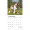 image English Bulldogs 2025 Wall Calendar