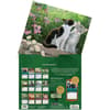 image Love of Cats 2026 Wall Calendar by Persis Clayton Weirs_ALT3