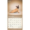 image Yoga Puppies 2025 Mini Wall Calendar Second Alternate  Image width=&quot;1000&quot; height=&quot;1000&quot;