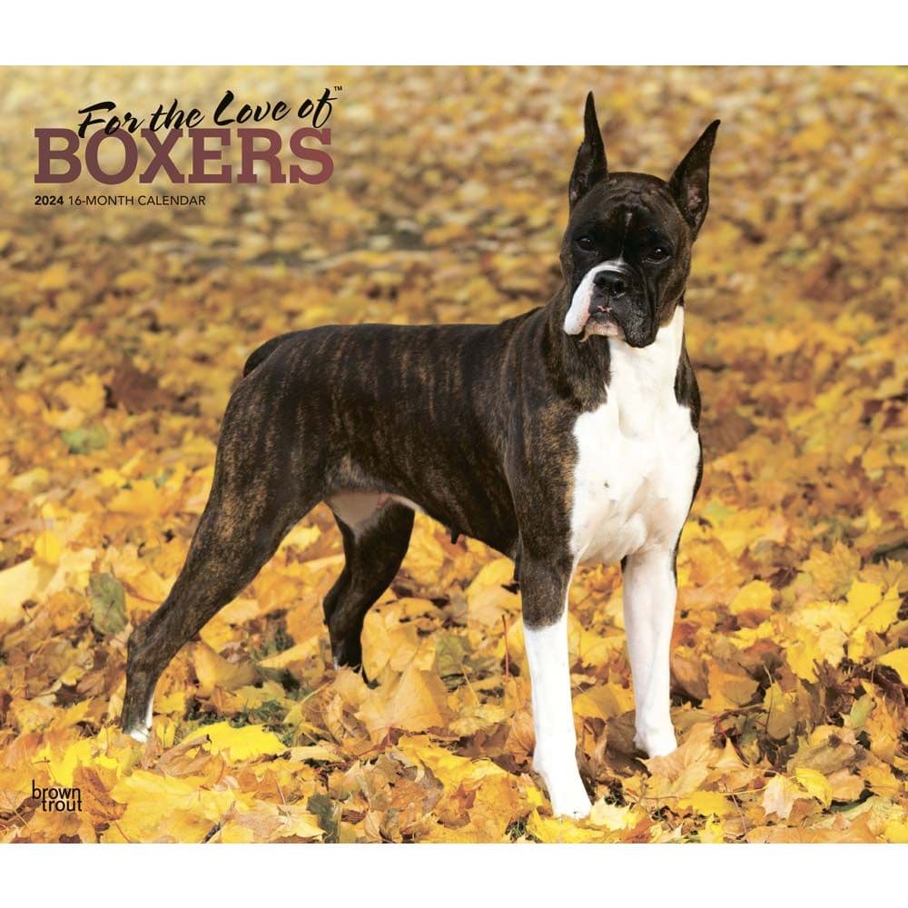 Boxer Puppies, 2024 7 x 14 Inch Monthly Mini Wall Calendar, BrownTrout