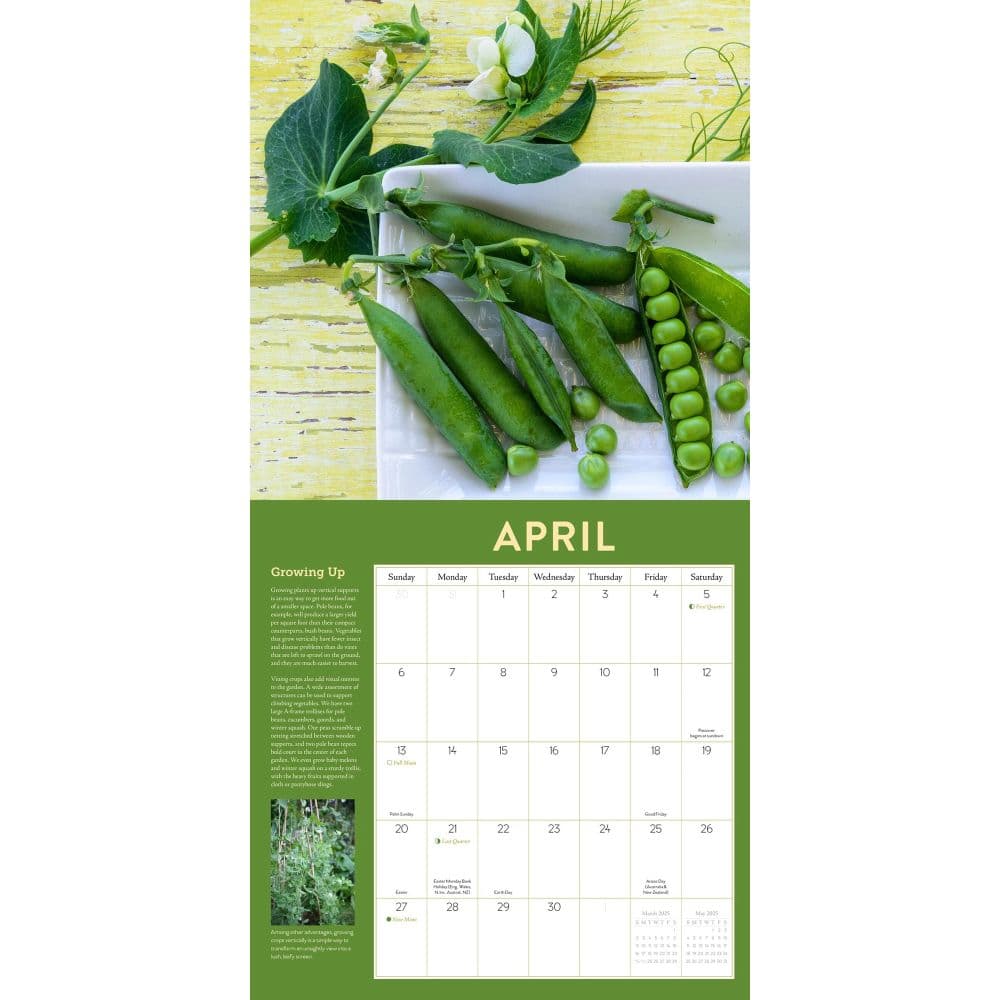 Vegetable Gardener 2025 Wall Calendar