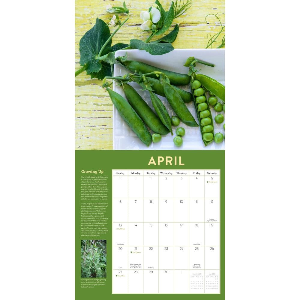 Vegetable Gardener 2025 Wall Calendar First Alternate Image width="1000" height="1000"