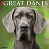 image Just Great Danes 2025 Wall Calendar Main Image