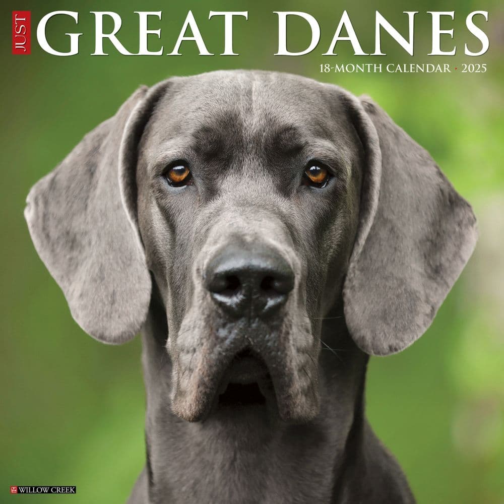 Just Great Danes 2025 Wall Calendar Main Image