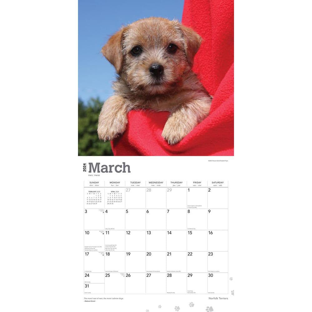 Norfolk Terriers 2025 Wall Calendar