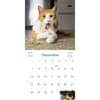 image Cats on Catnip 2025 Wall Calendar Third Alternate Image width="1000" height="1000"