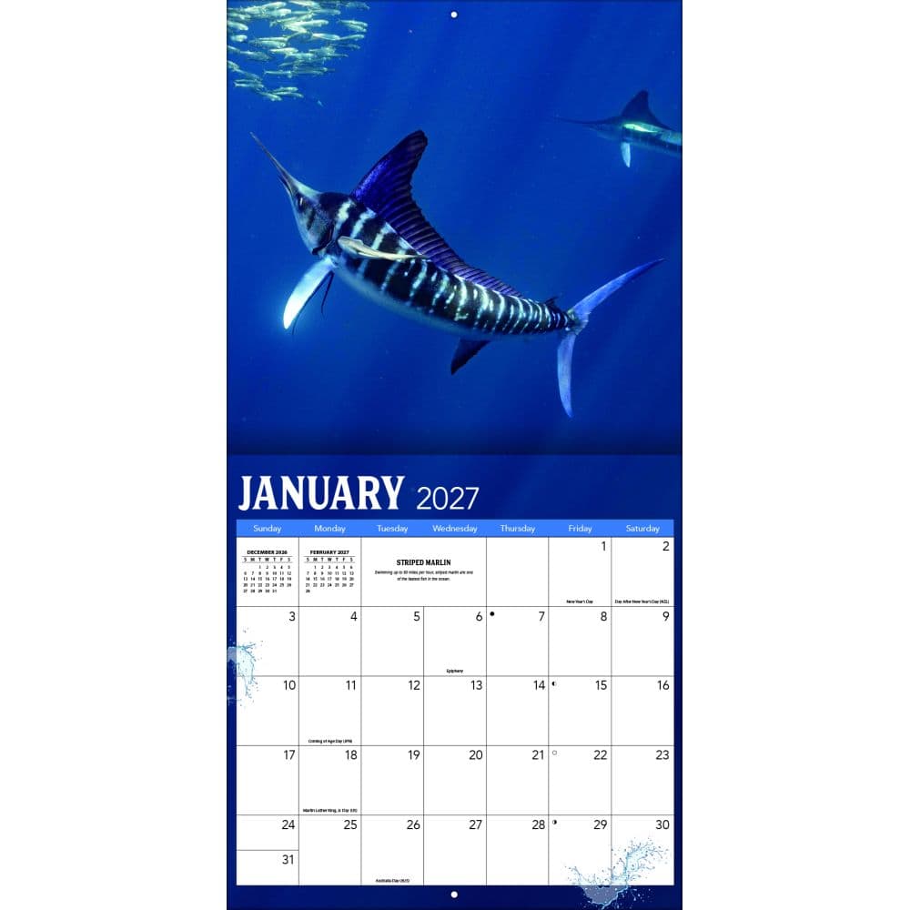 Fish On 2027 Wall Calendar Third Alternate Image