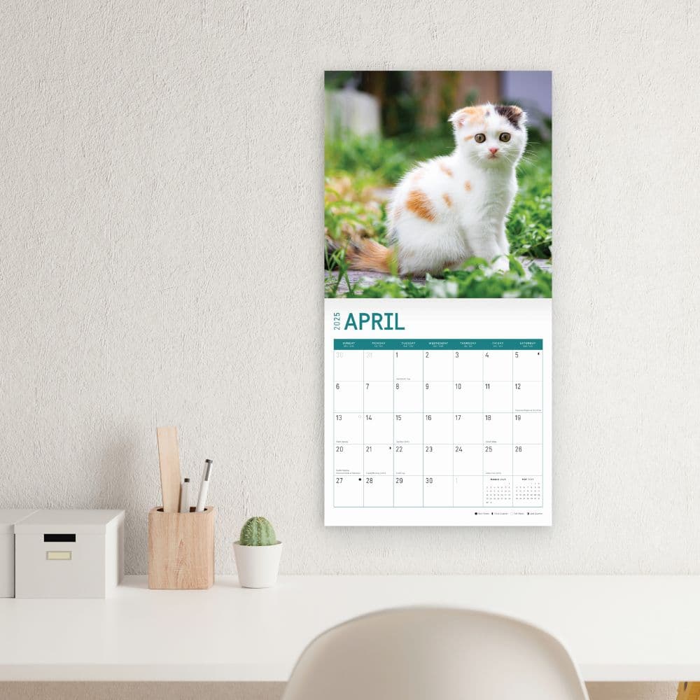 Calico Cats 2025 Wall Calendar Third Alternate Image width=&quot;1000&quot; height=&quot;1000&quot;