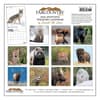 image Montana Wildlife 2026 Wall Calendar First Alternate Image