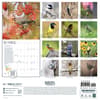 image Birds Feathered Friends 2027 Wall Calendar First Alternate Image