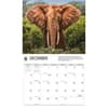 image Elephants WWF 2026 Wall Calendar Fourth Alternate Image