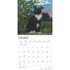 image Tuxedo Cats 2025 Wall Calendar