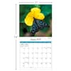 image Butterflies 2027 Mini Wall Calendar